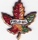 Field