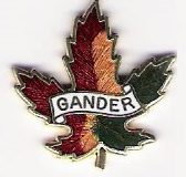 Gander