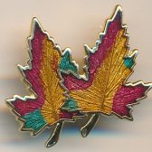 Maple Leaf