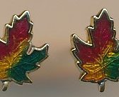 Maple Leaf