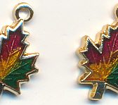 Maple Leaf