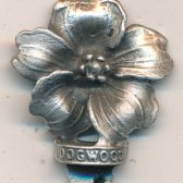 BC Dogwood