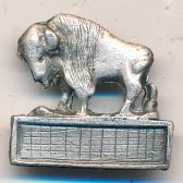 Buffalo