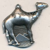 Camel