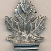 Maple Leaf