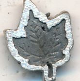 Maple Leaf