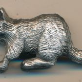 Racoon