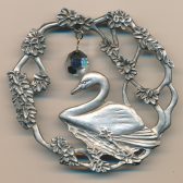 Swan