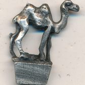 Camel