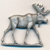 Moose