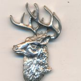 Deer with Antlers