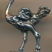 Ostrich