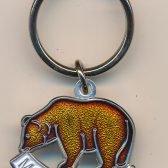 Moraine Lake Bear