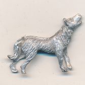 Coyote