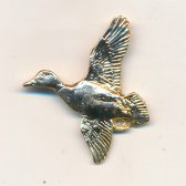 Flying Duck