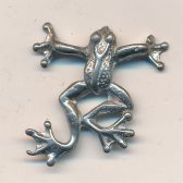Tree Frog