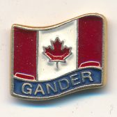 Gander