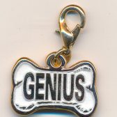 Genius