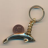 Dolphin