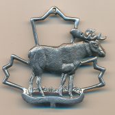 Moose