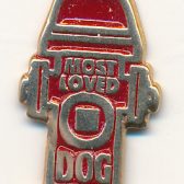 Most Loved Dog