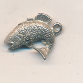 Salmon Fish