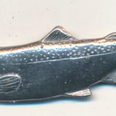 Salmon Fish