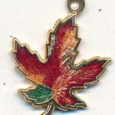 Maple Leaf