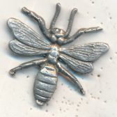 Bug