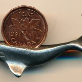 Whale