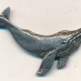 Whale