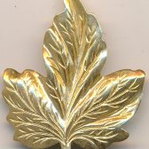 Maple Leaf