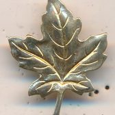 Maple Leaf