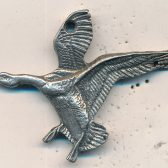 Goose Landing