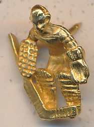 Hockey Goalie
