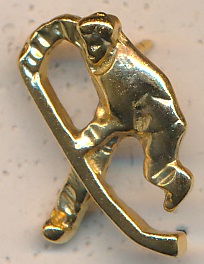 Hockey Player
