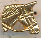 Horse Head