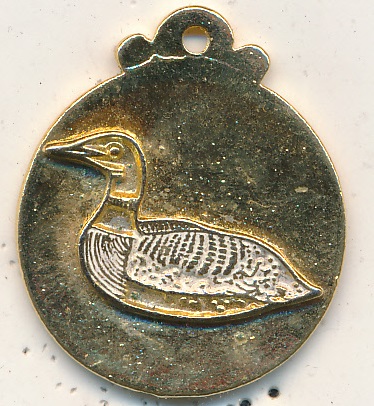 Loon